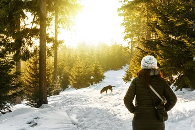 人站在冰雪覆盖的森林看狗
